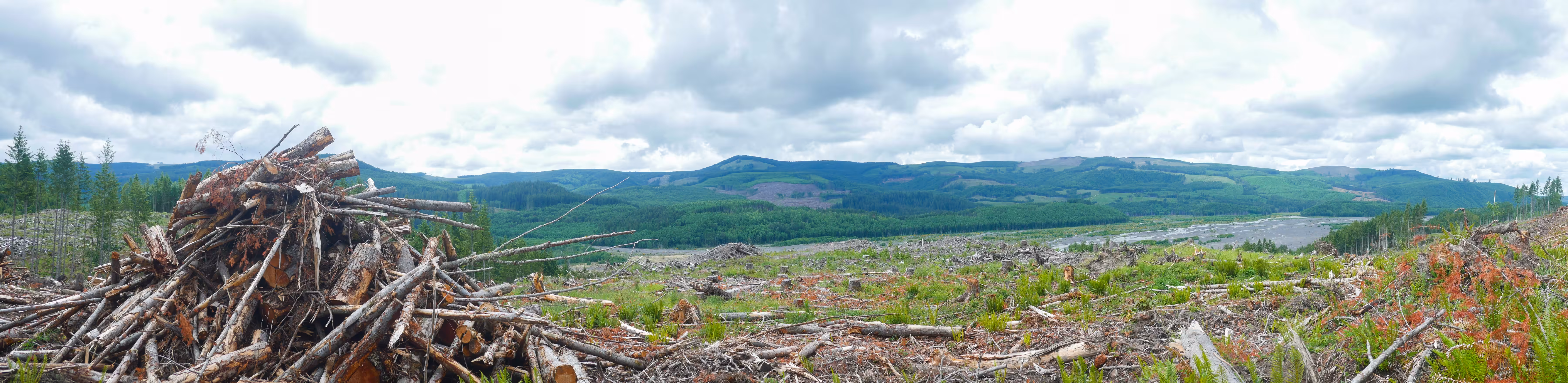 Another PNW Panorama