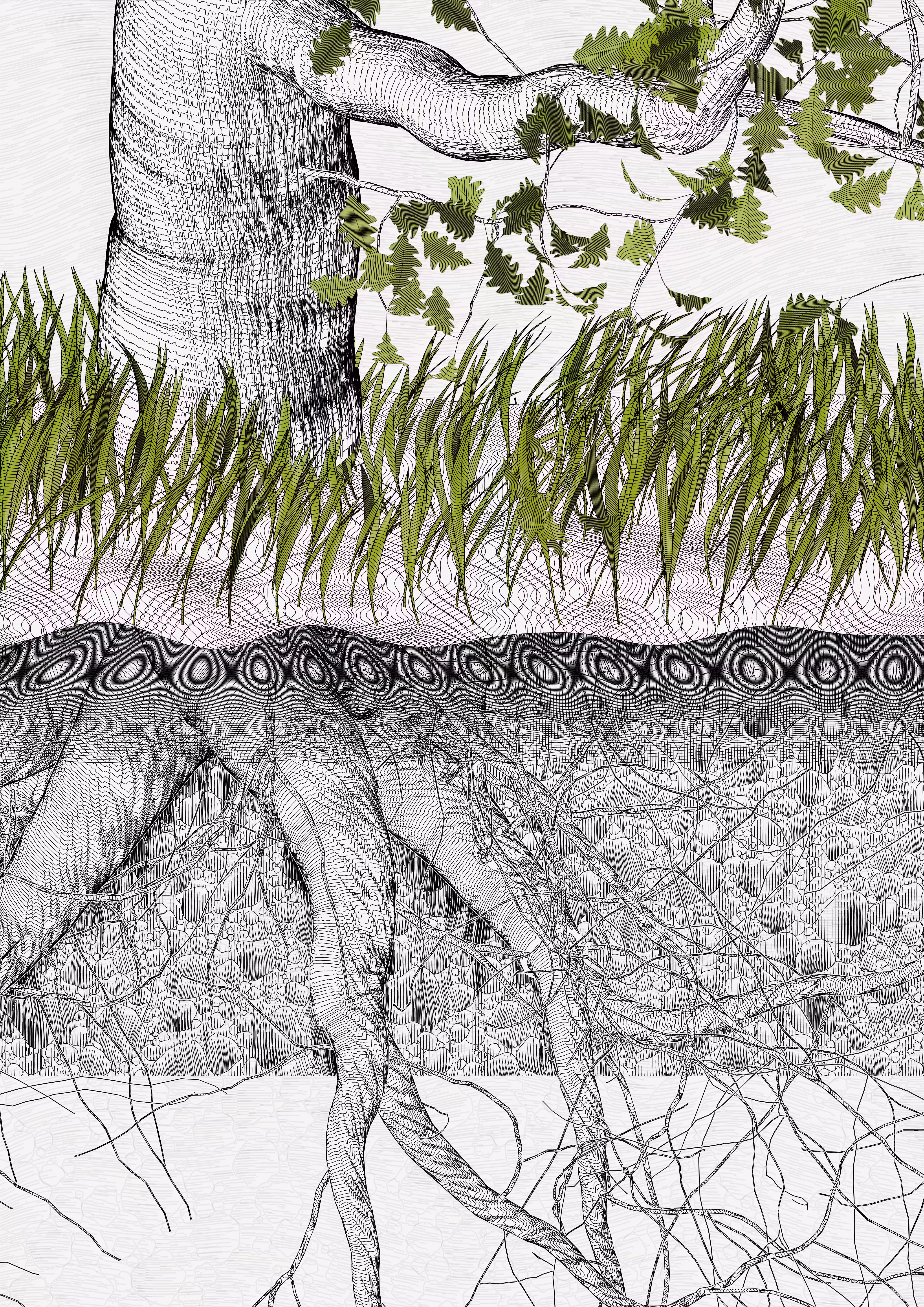 The Oak Tree part #0,-1