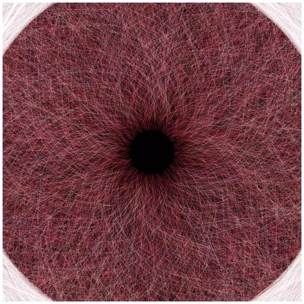 Iris #7