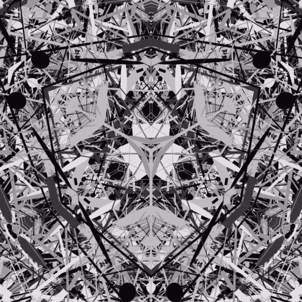 BW 3 mirror #5