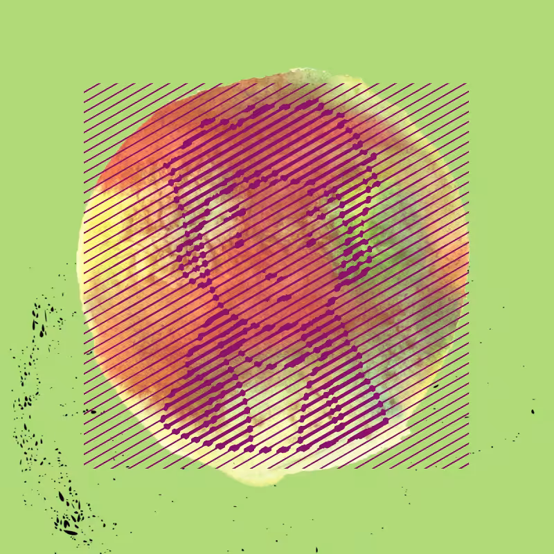PFP #6