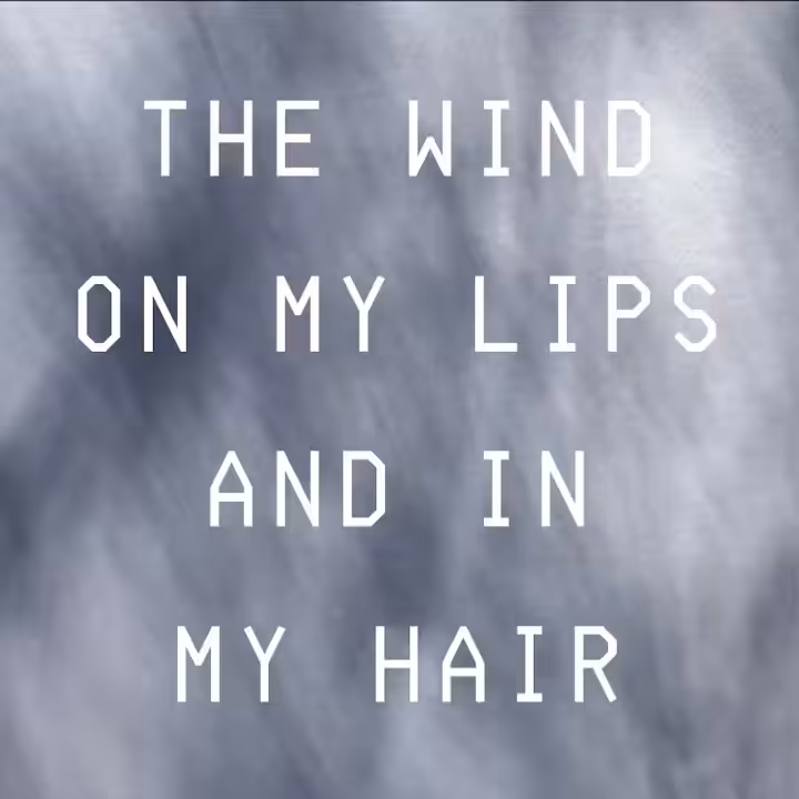 NEAR FUTURE TRANSLATIONS: “The wind on my lips and in my hair.”