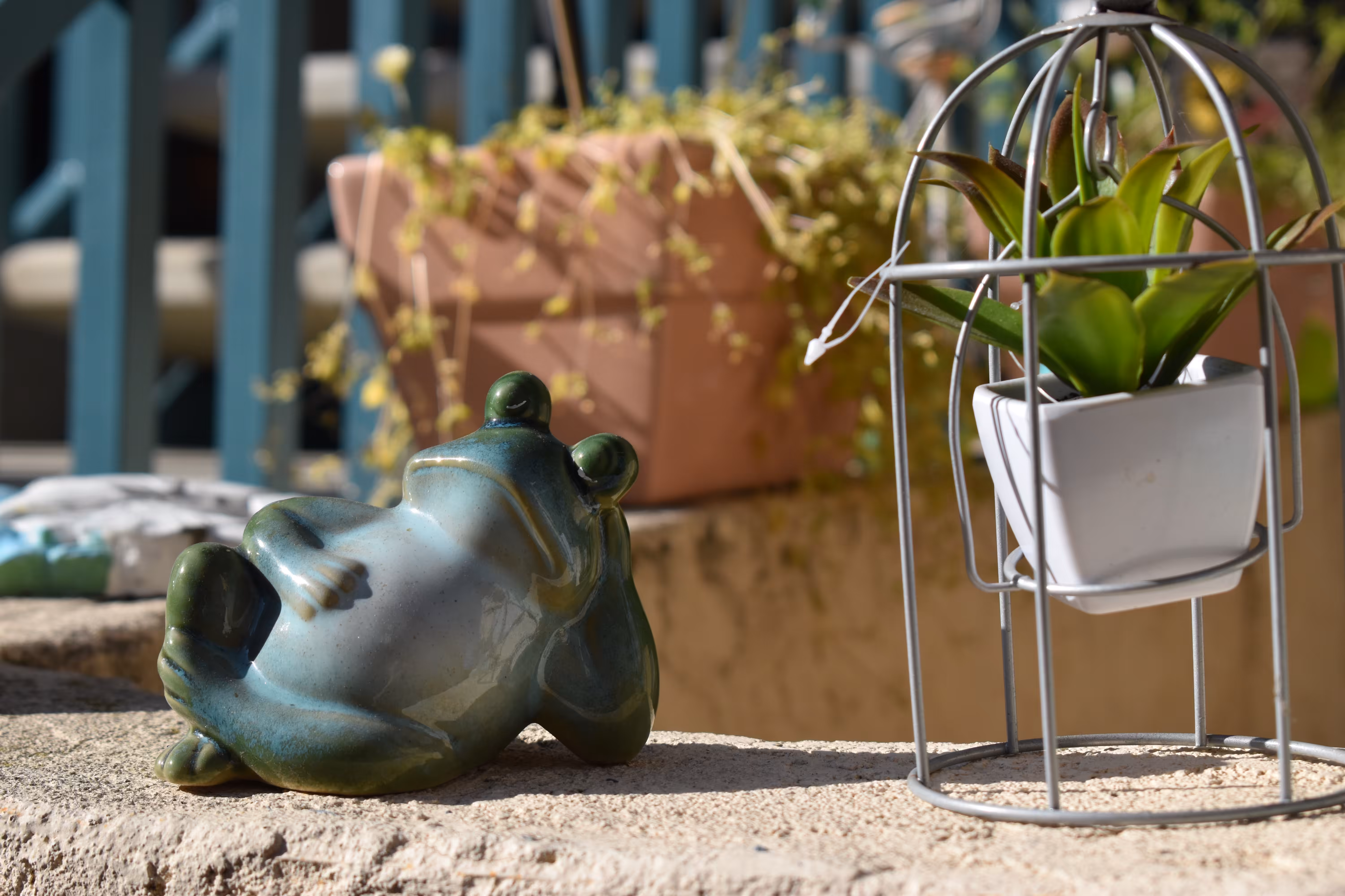 Lazy Frog