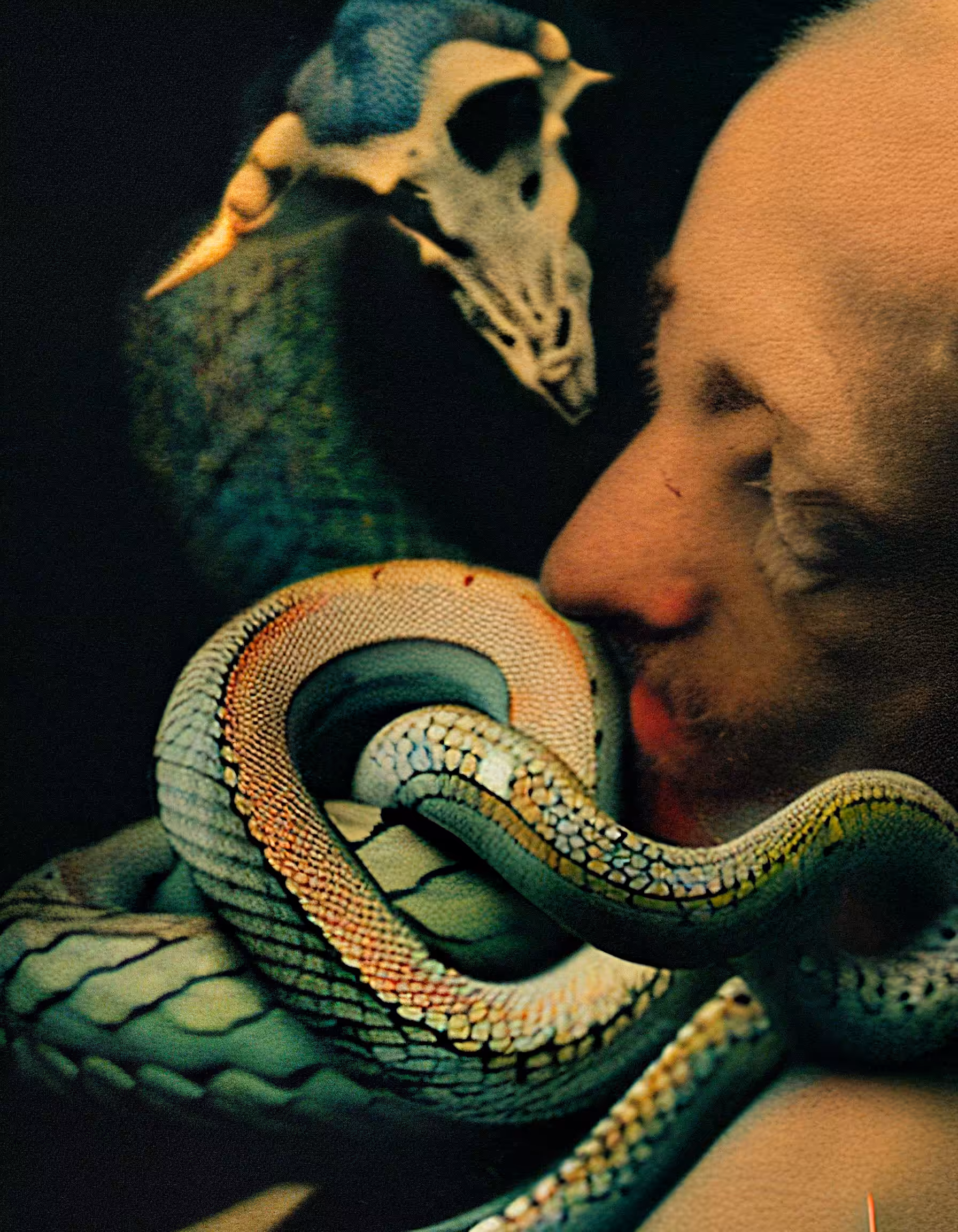 Snake lovers 05