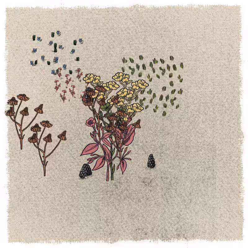 Gardens  #158