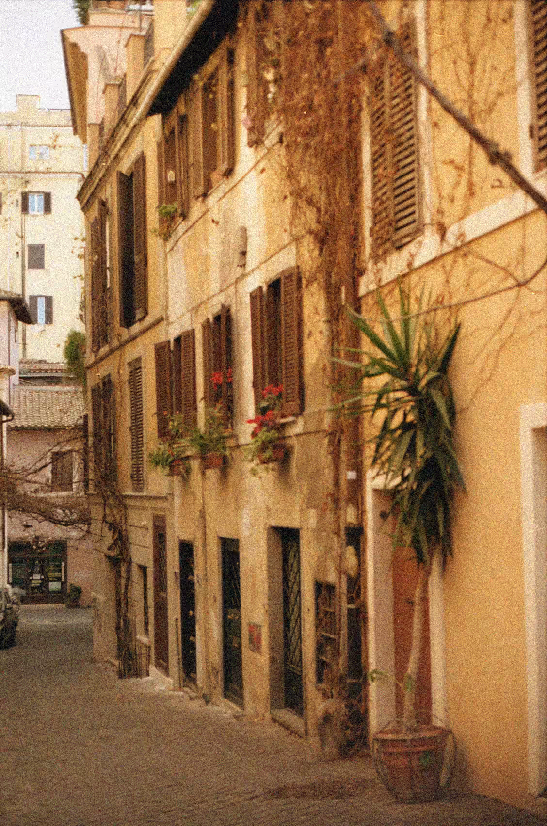 Roma