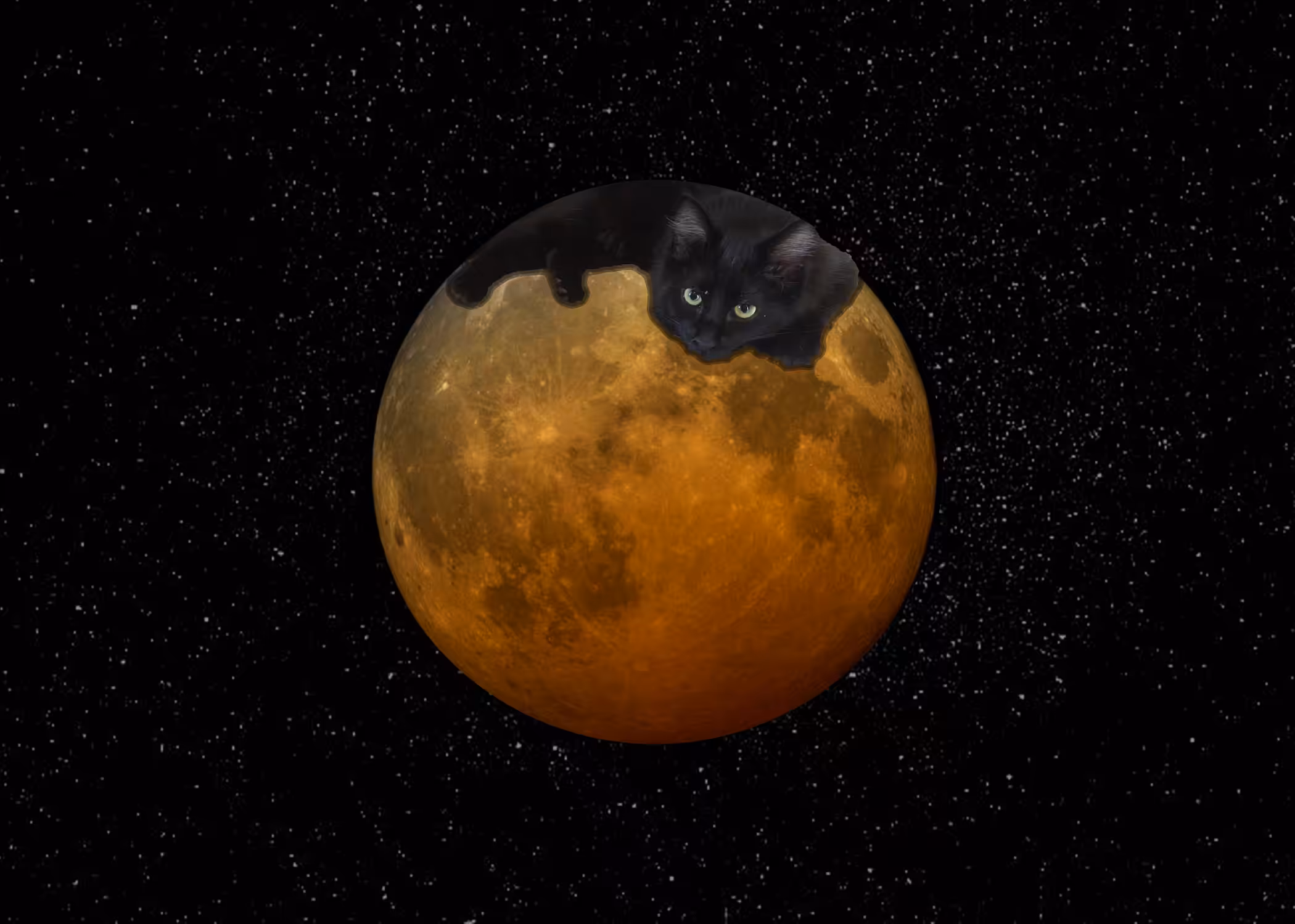 🌕 Happy Supermoon 🌕
