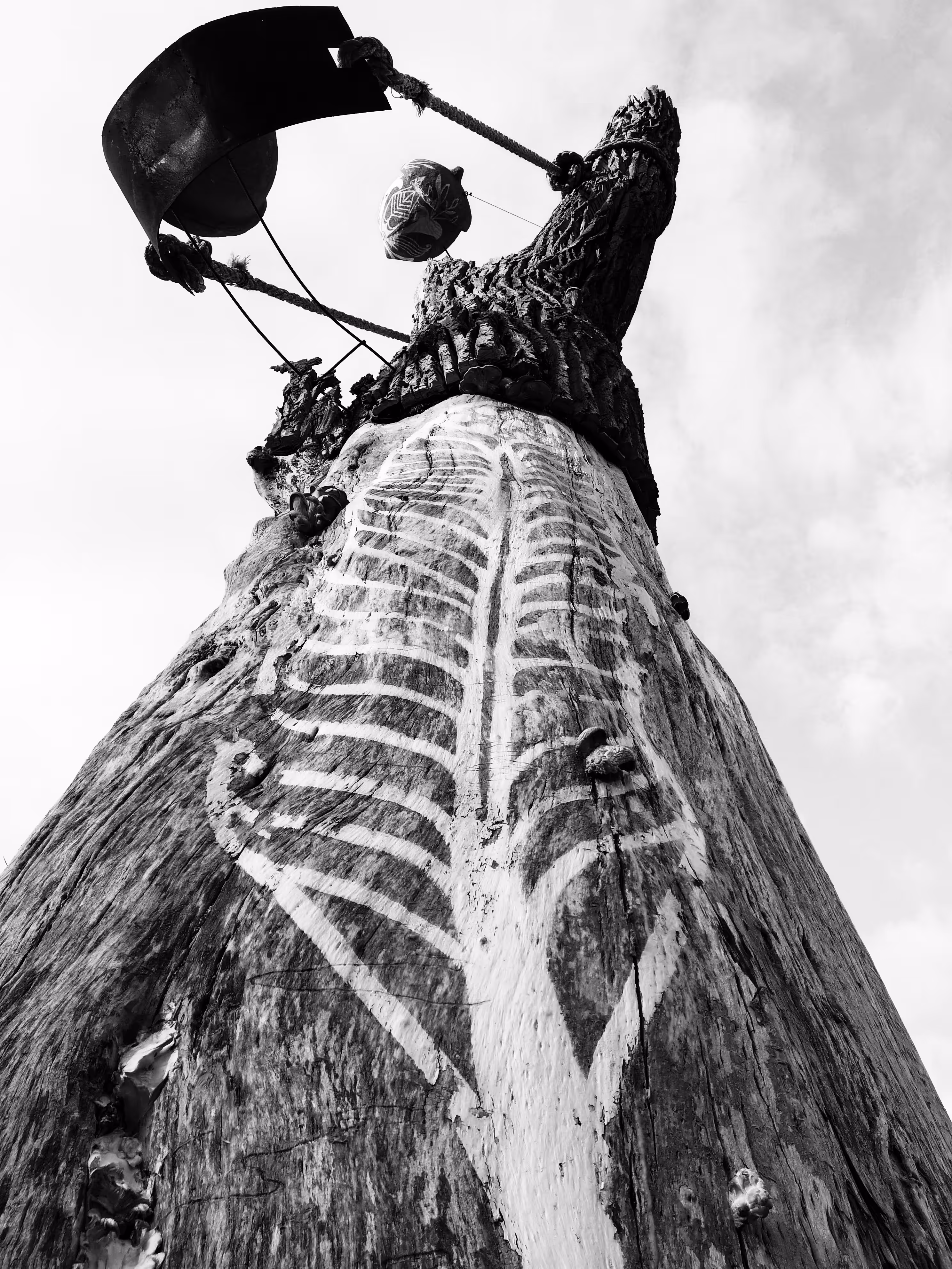 Mushroom Tree 1/2