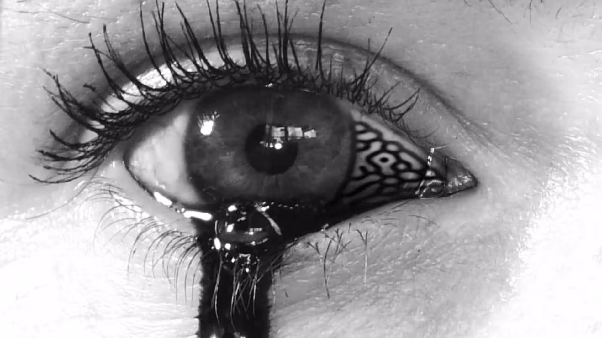 Blindness 03