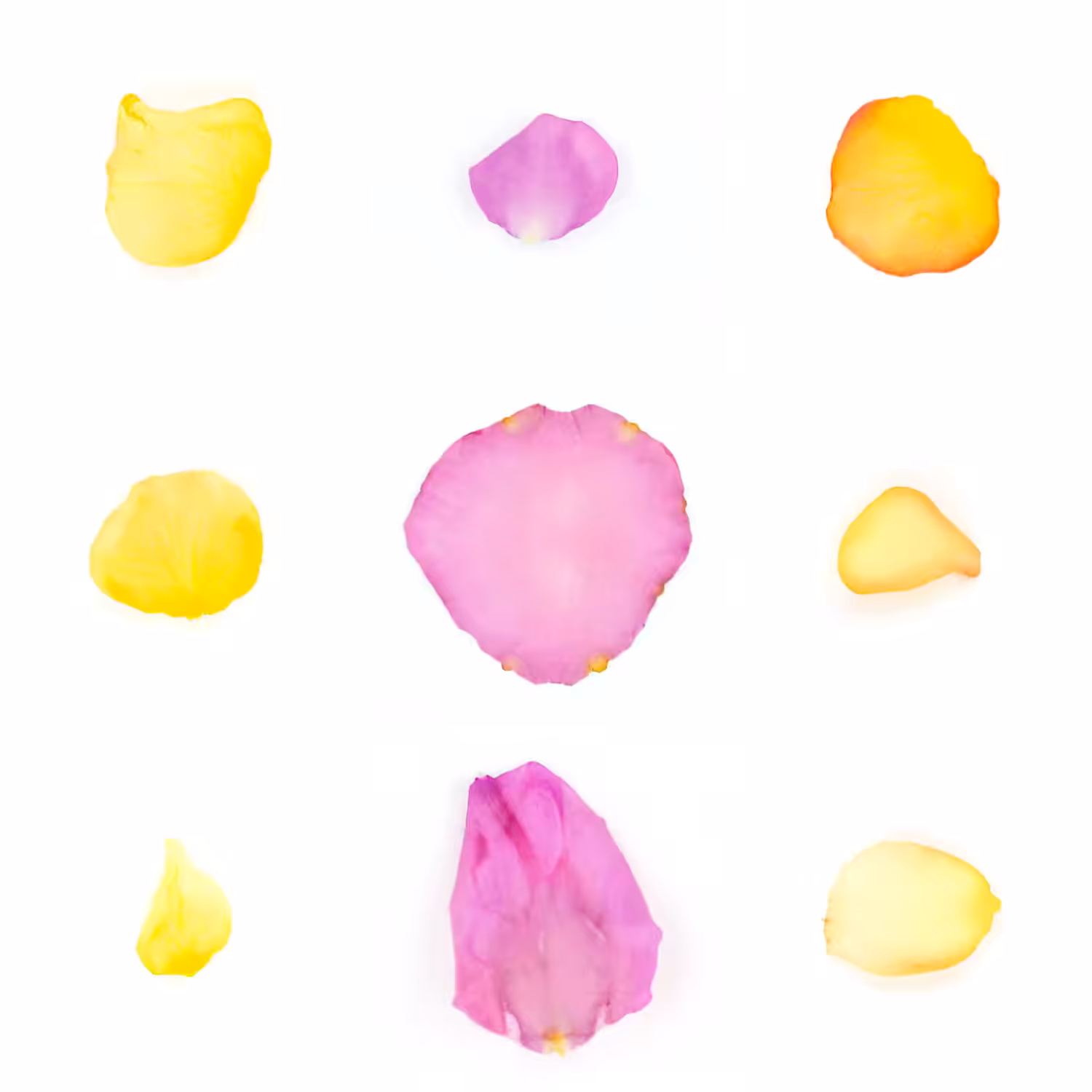 Infinite Petals 3x3#29