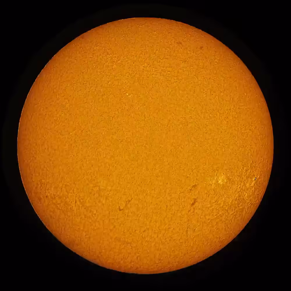 The Sun in 2021