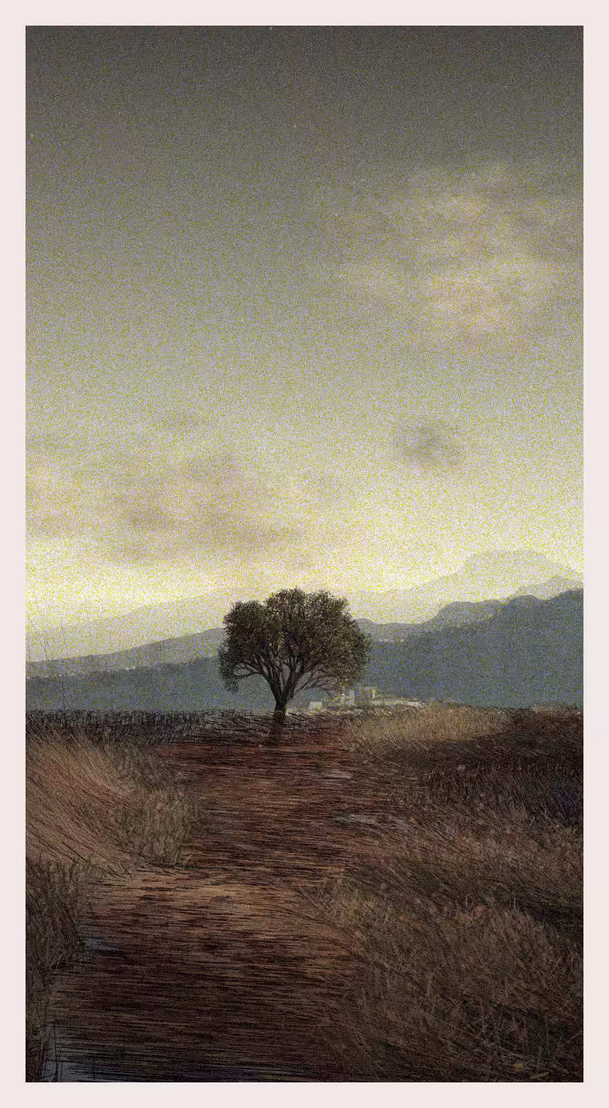 QTNN: Ledina #431