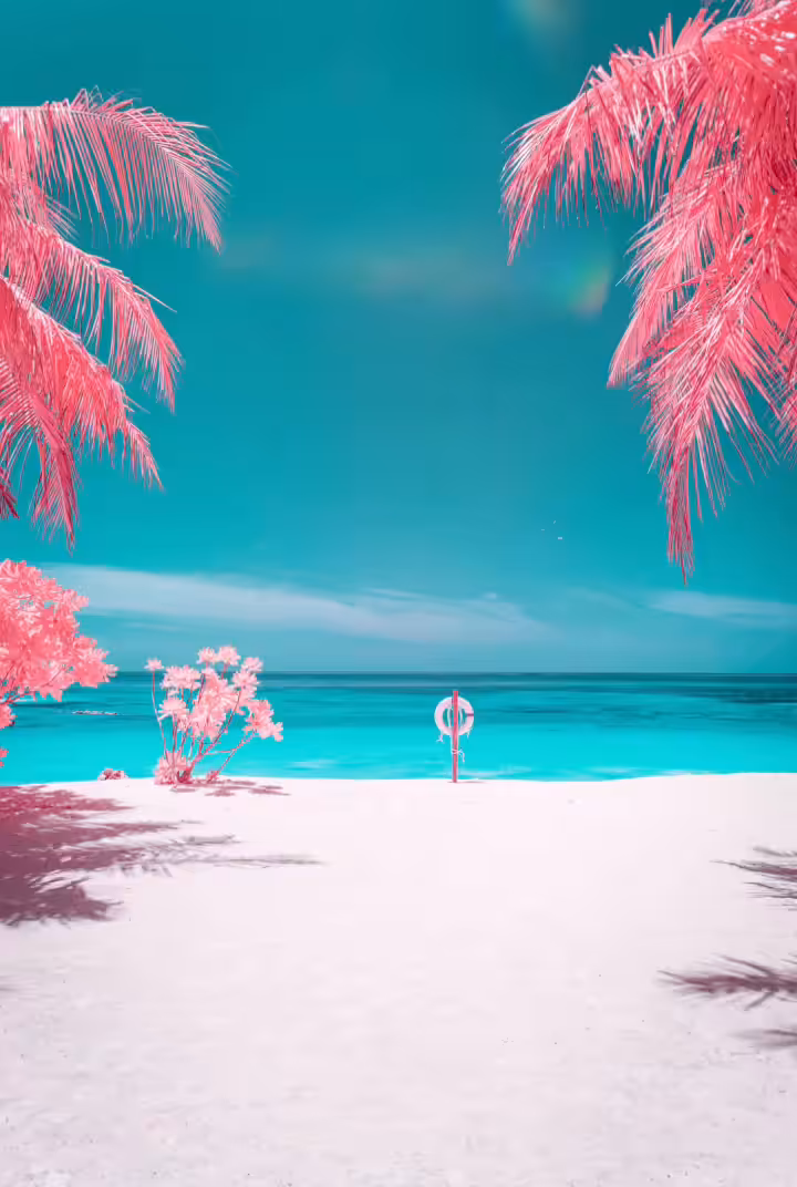 Tropical paradise