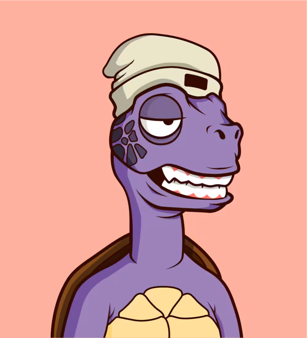 Tiny Turtle 107
