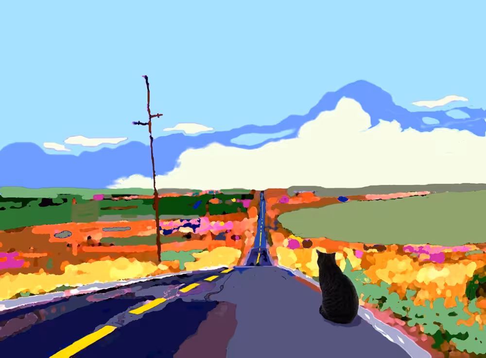 Life of Cat named Pi: Pondering on a Country Road