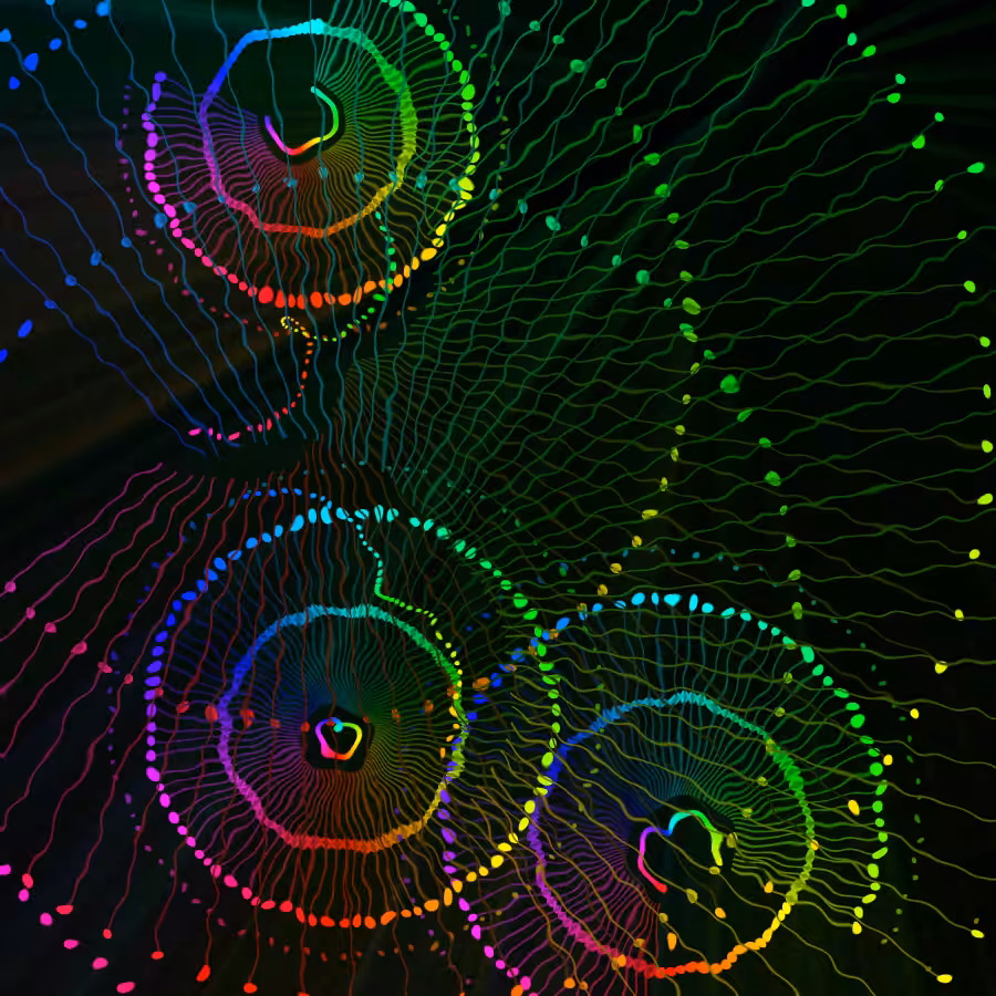fx(rings/dots) #13