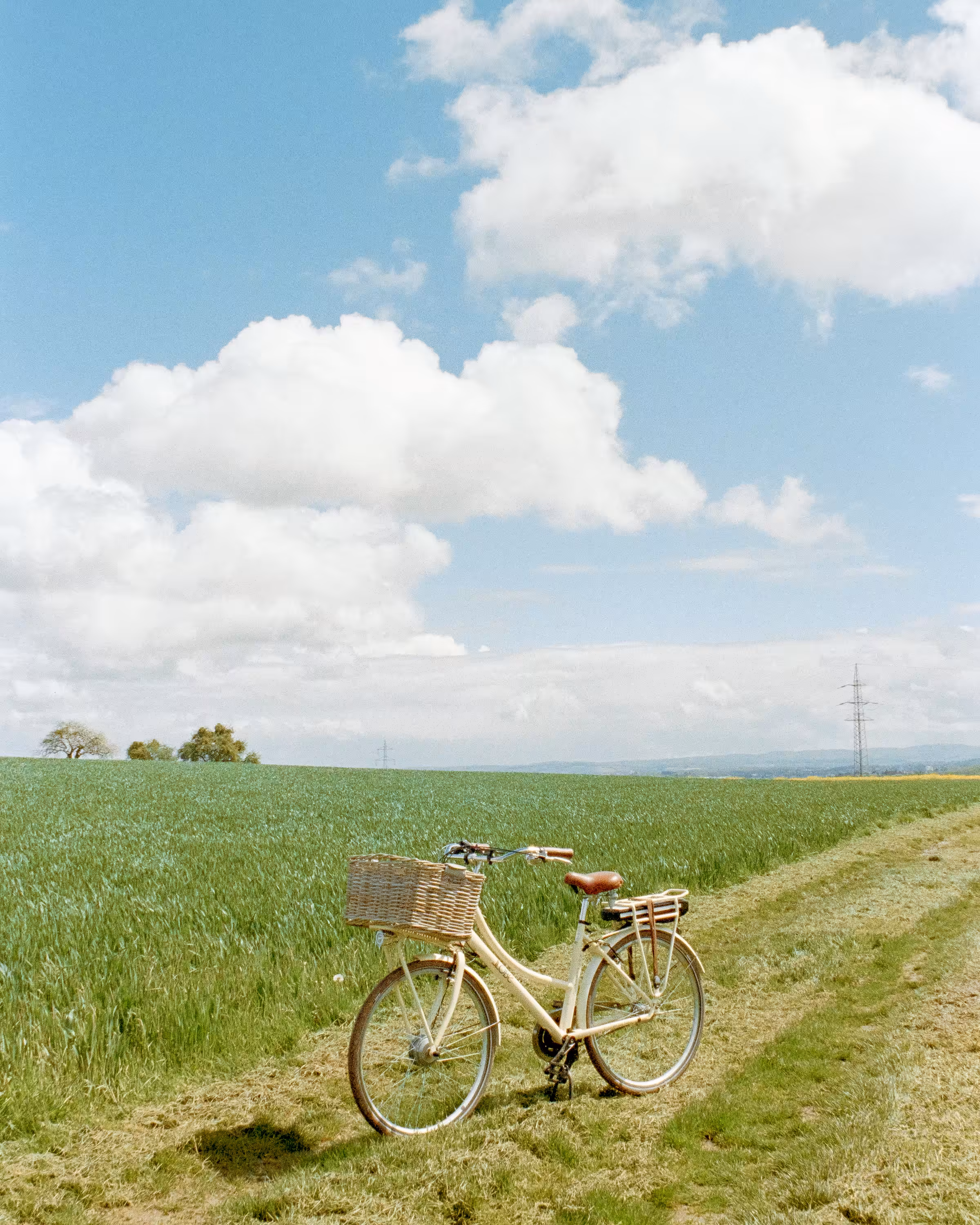 Summer Breeze