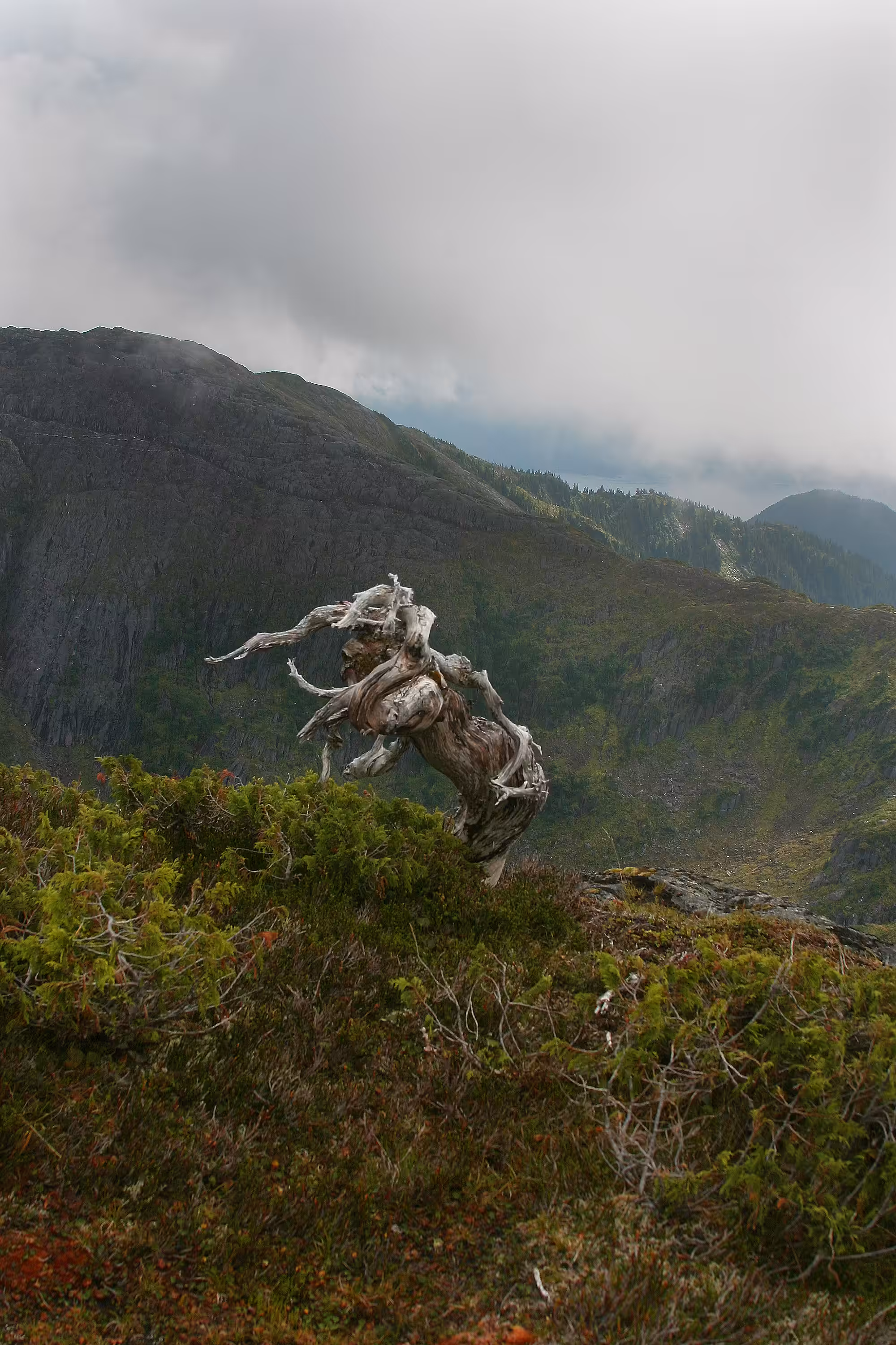 Mountain Spirit