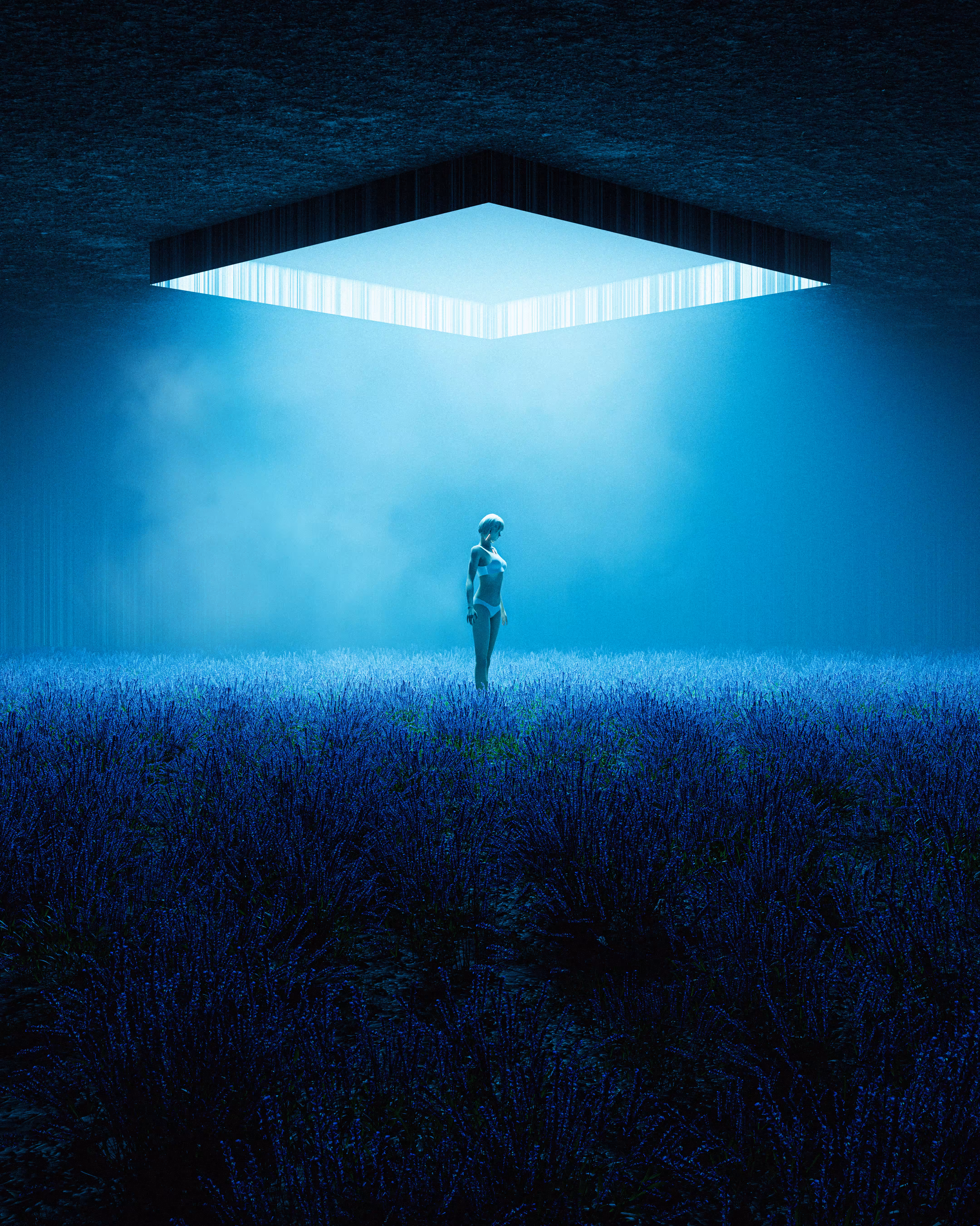 Cold Room