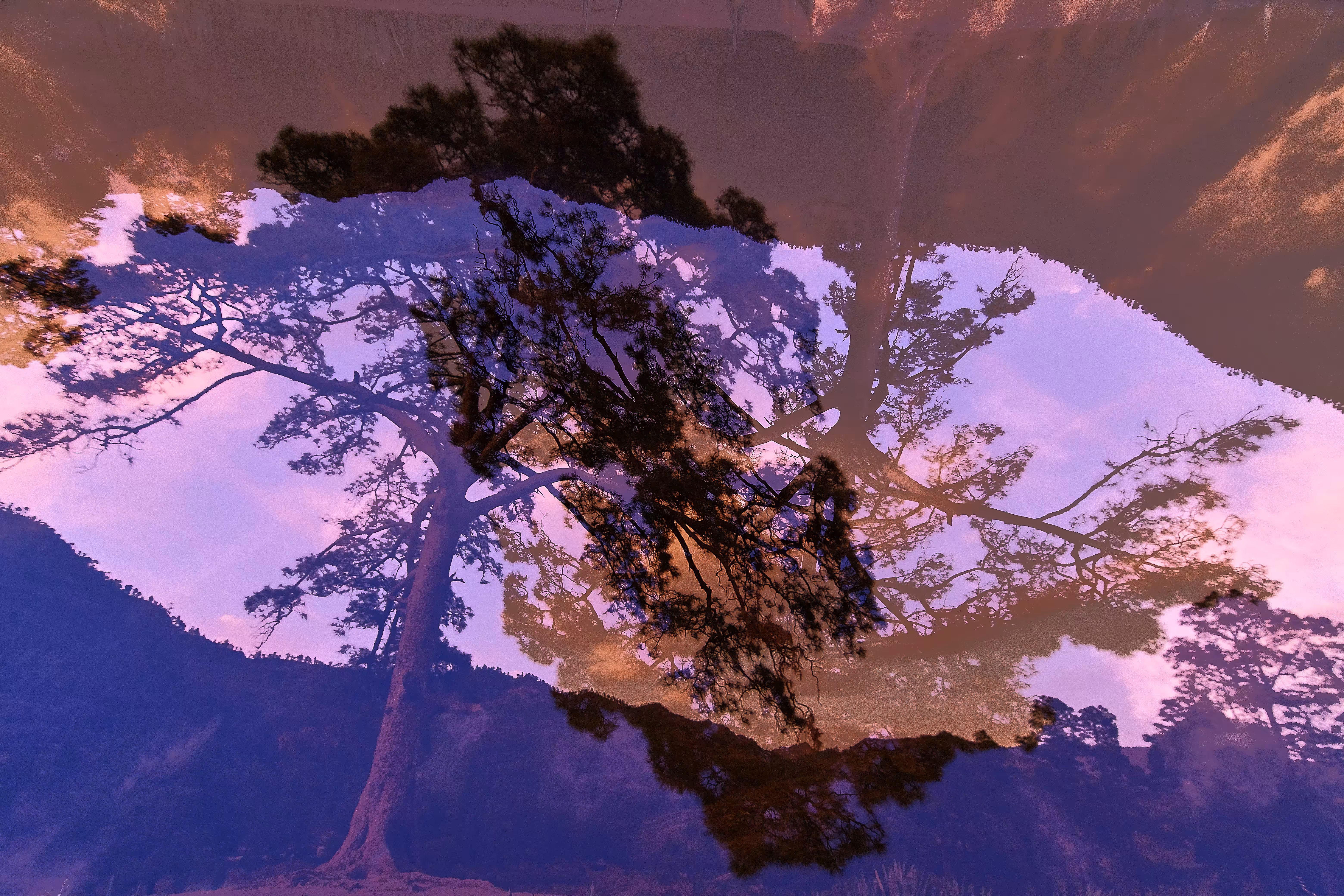 Duality