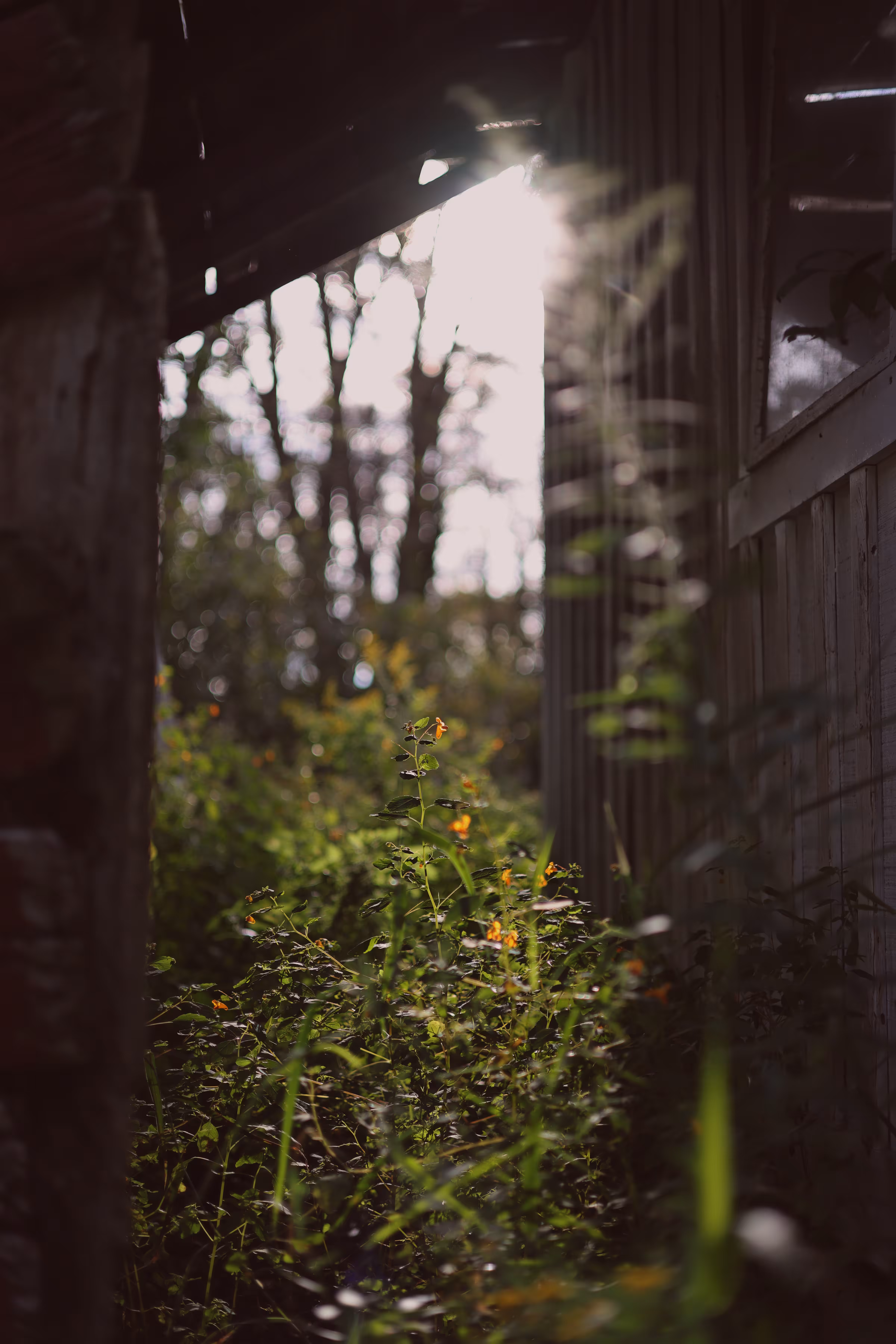 _magical