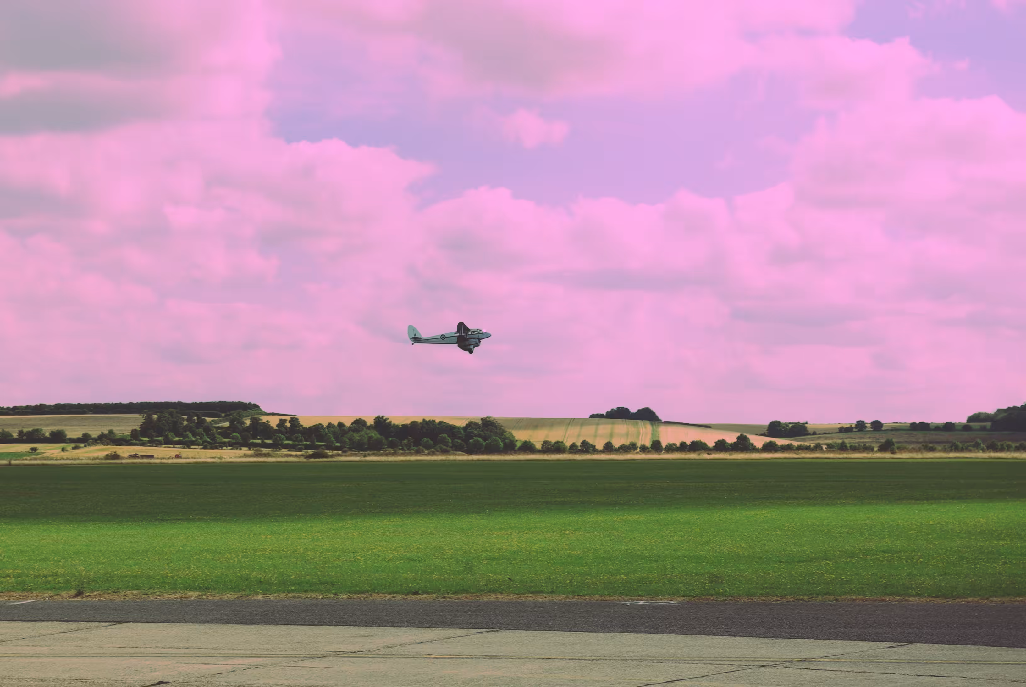Reminted: Lavender Flight