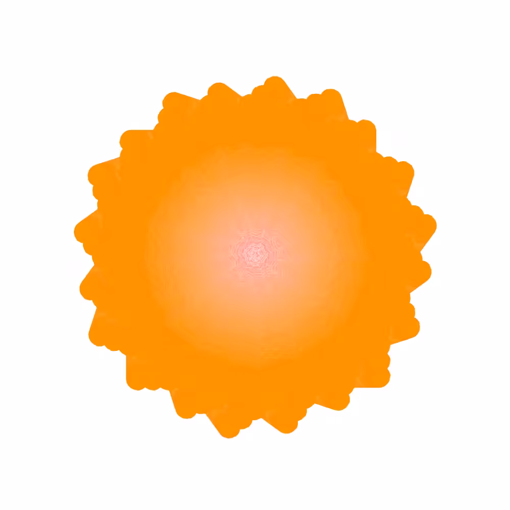 Poppy #154