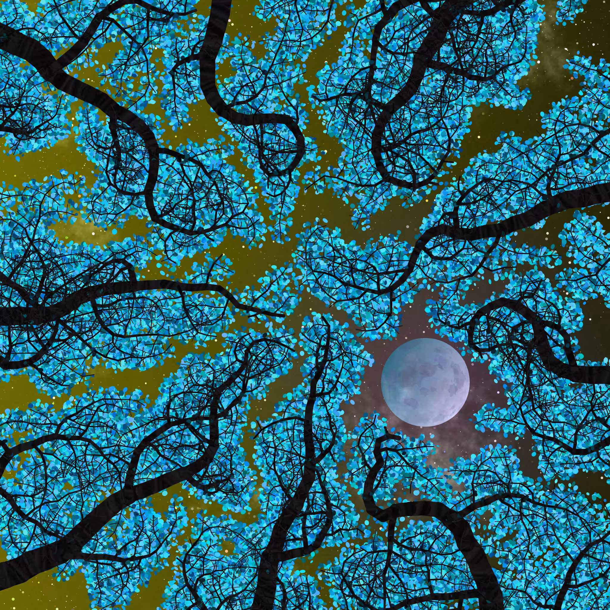 Tree Skyness #191