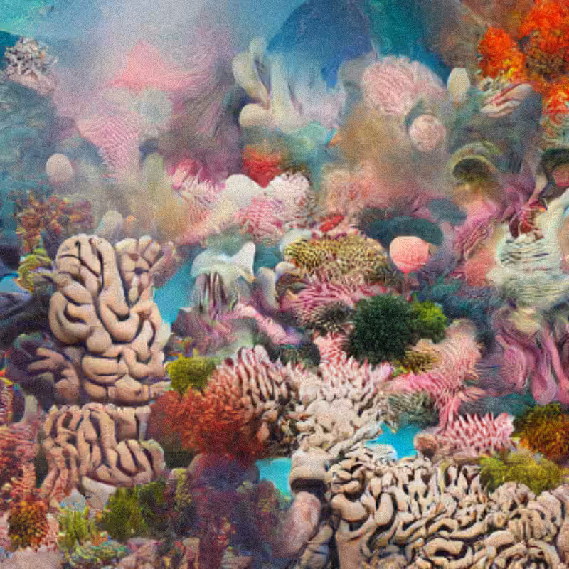 Reefs on Rewind #19