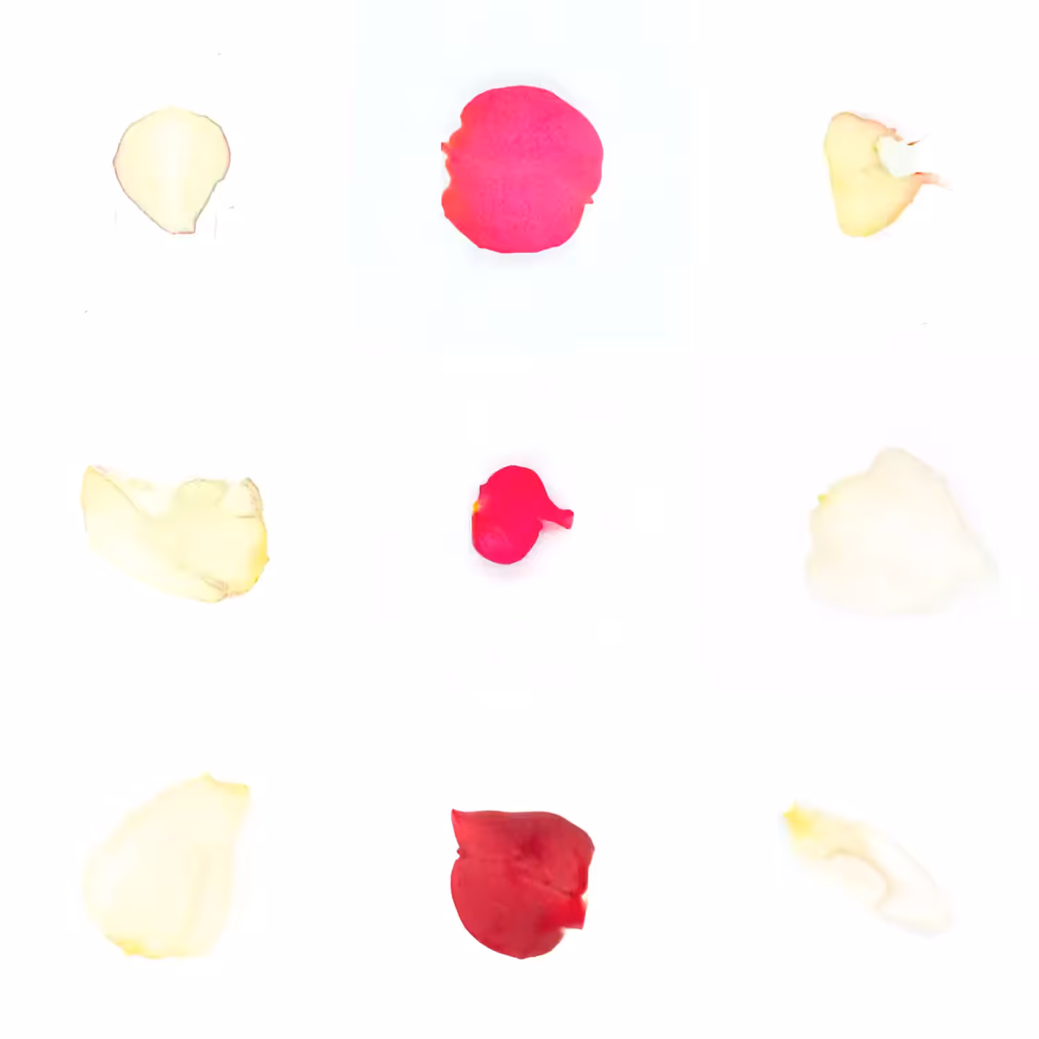 Infinite Petals 3x3#3328