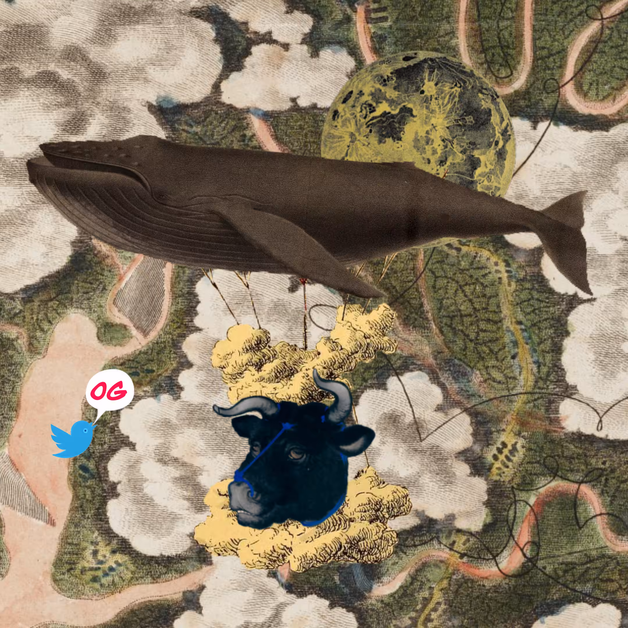 Airship #137