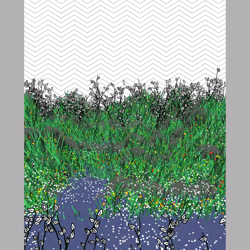 Contours #71