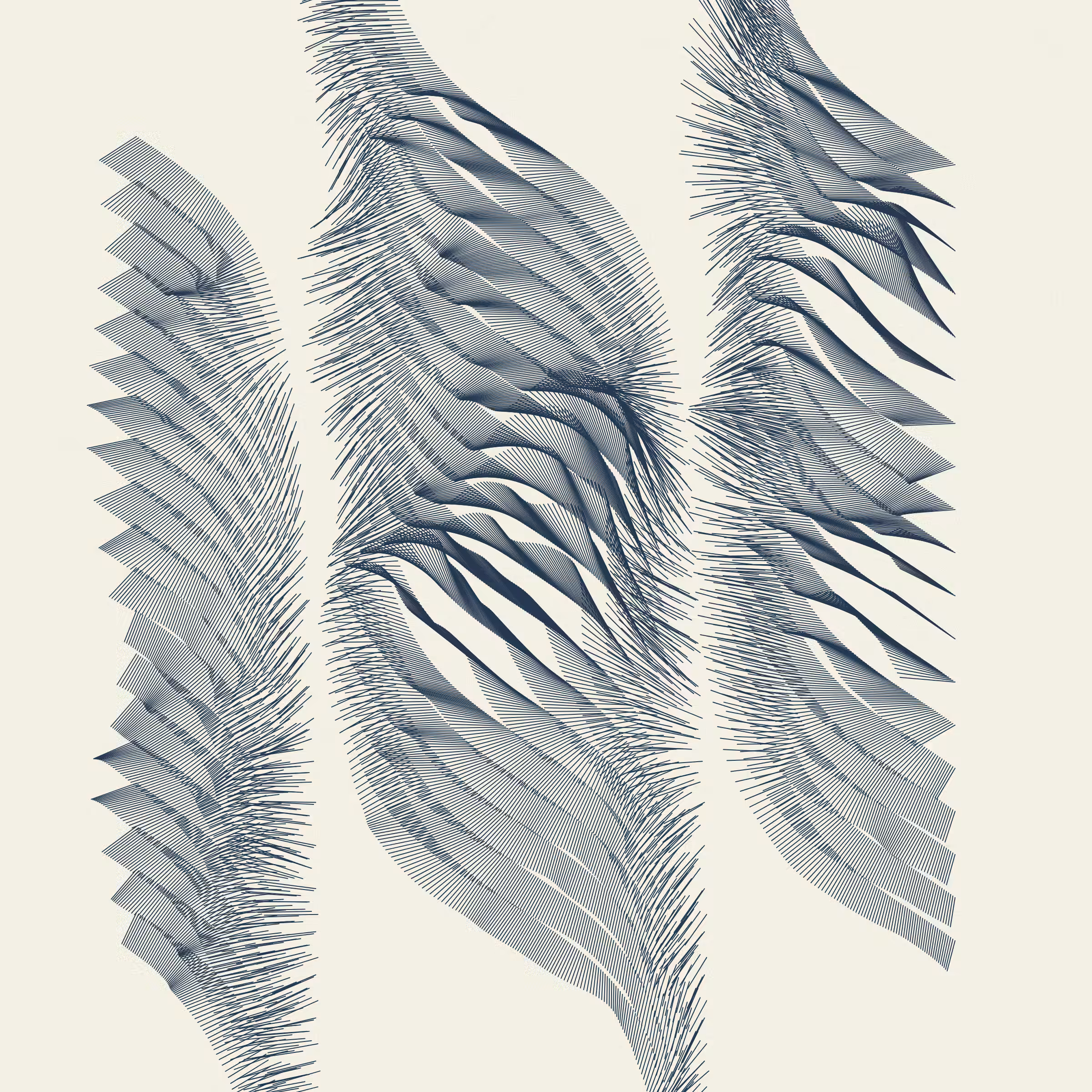 Curtains #51