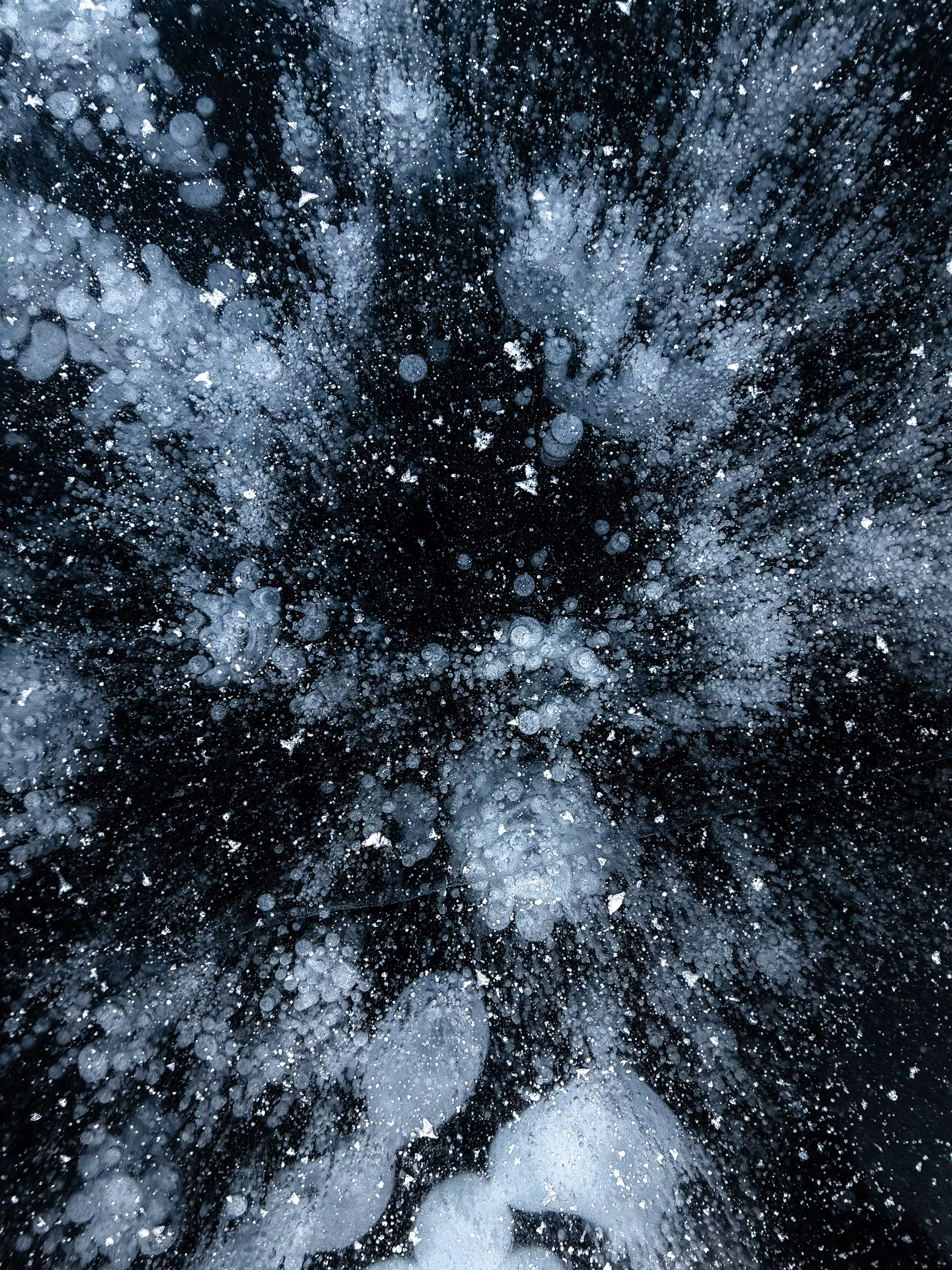 wOrbits V: Terminal Orbit