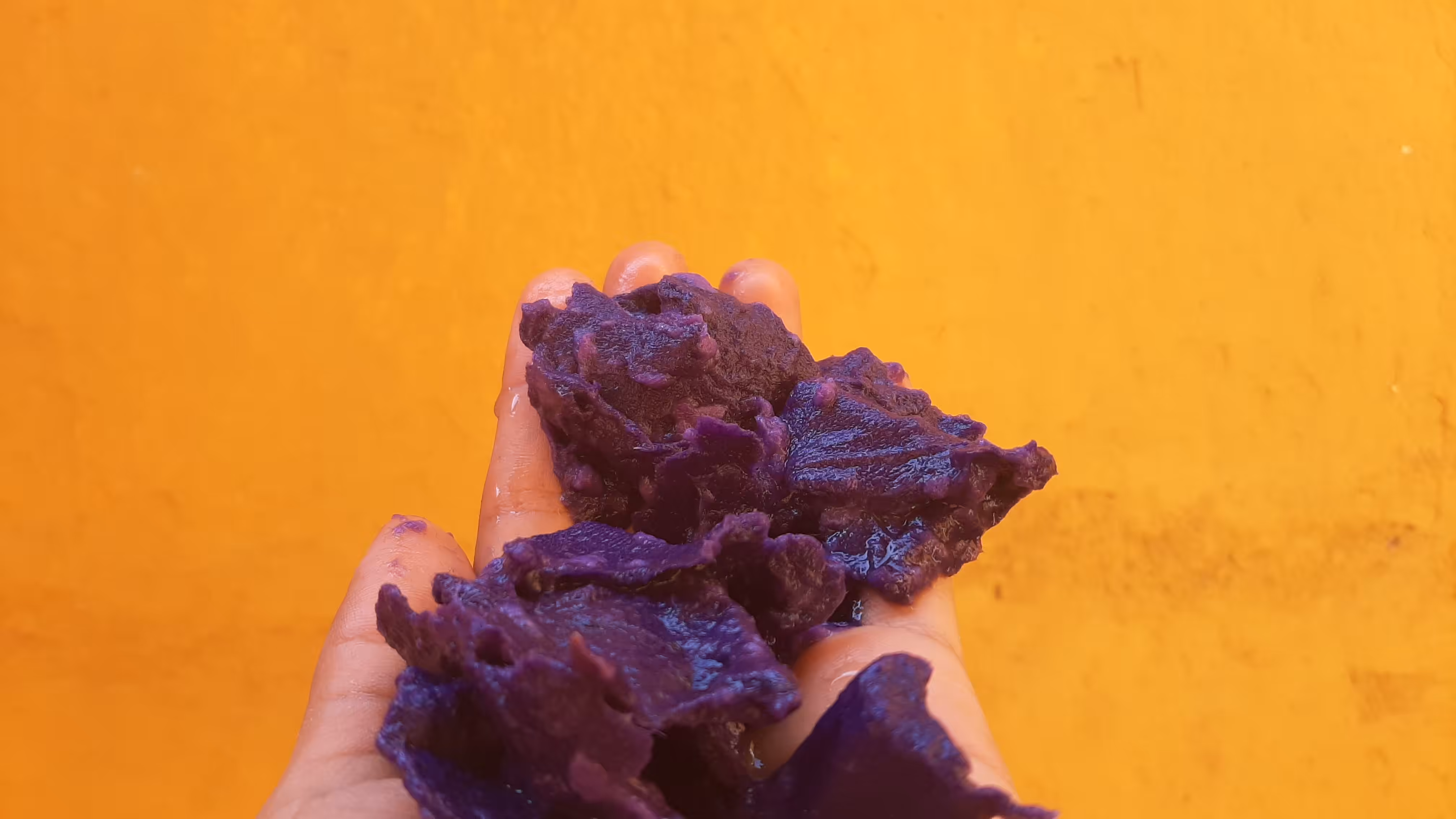 Cellulose held by my hand