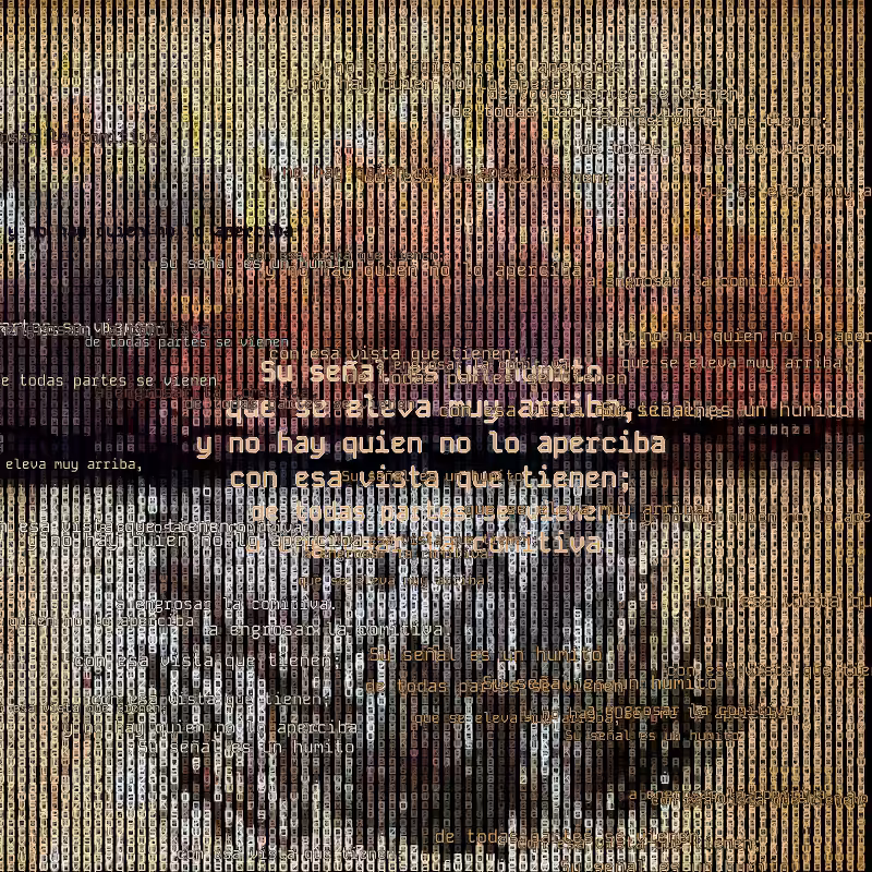 A hacker in the Pampas #118