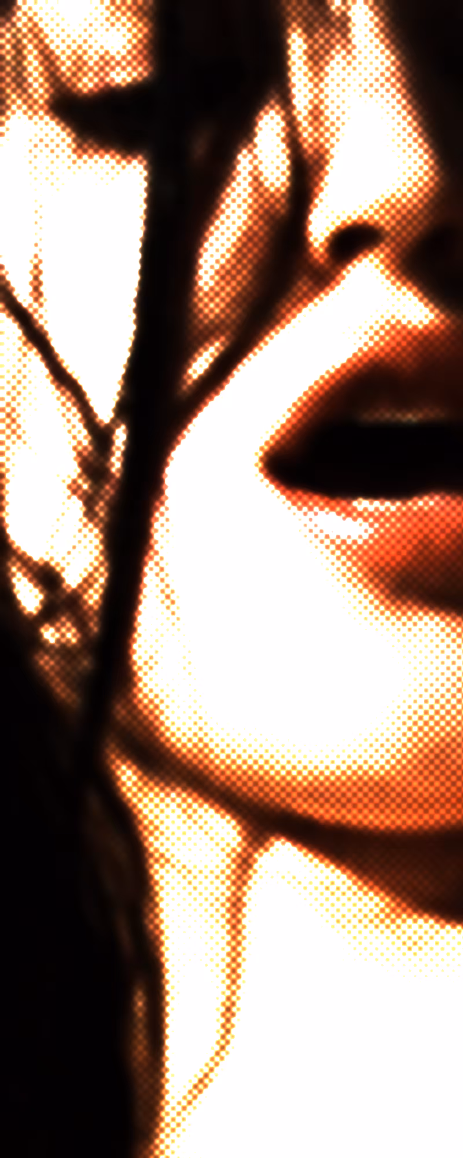 amber N01