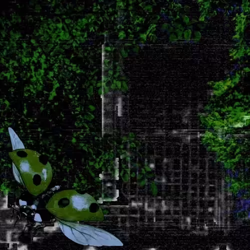 Anonymous Nobody Official: The City Bugs