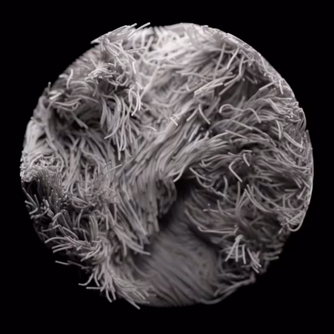 Circle_002