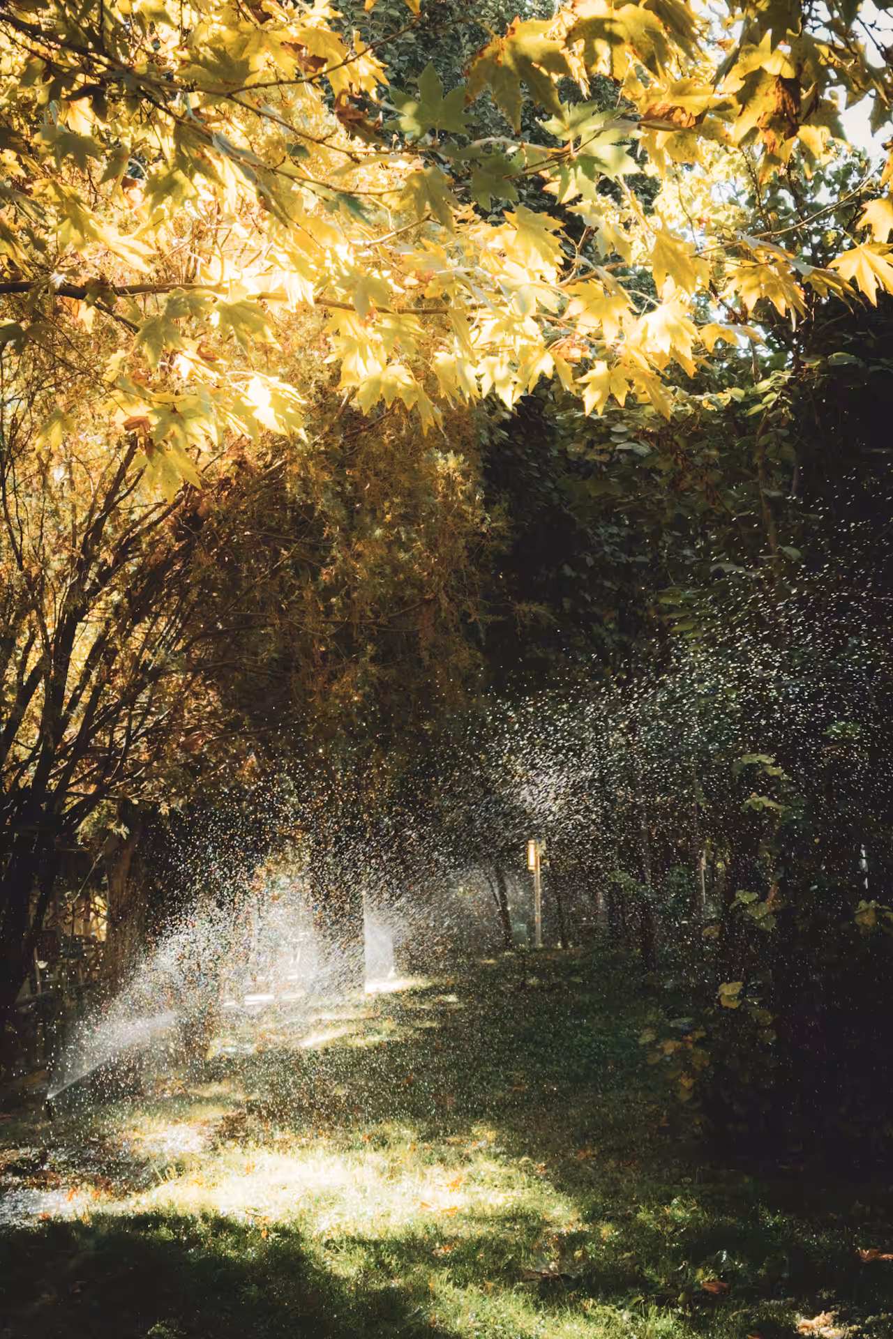 0001