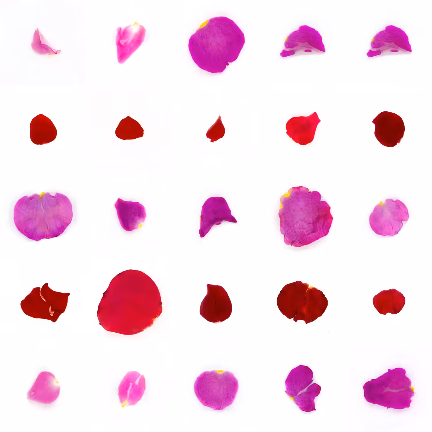 Infinite Petals 5x5#20847
