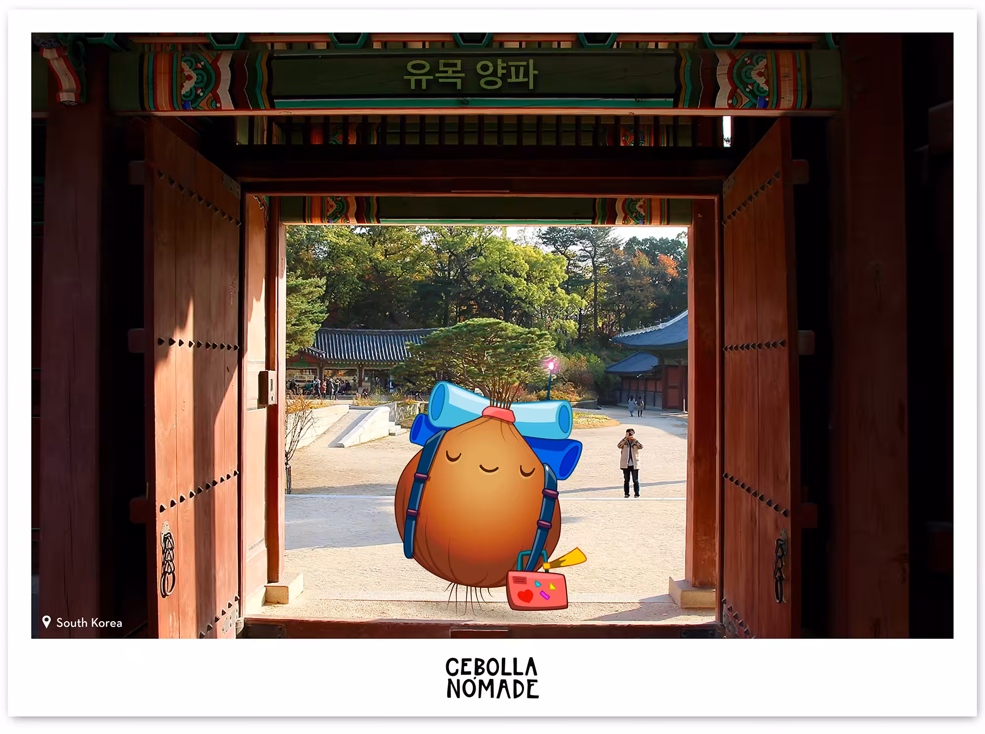 Nomad Onion Postcard #5 - South Korea