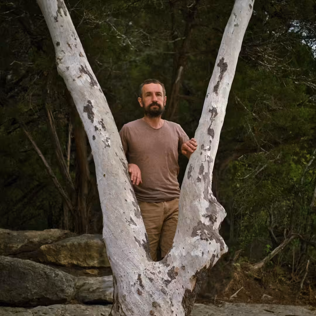 Tree Rings