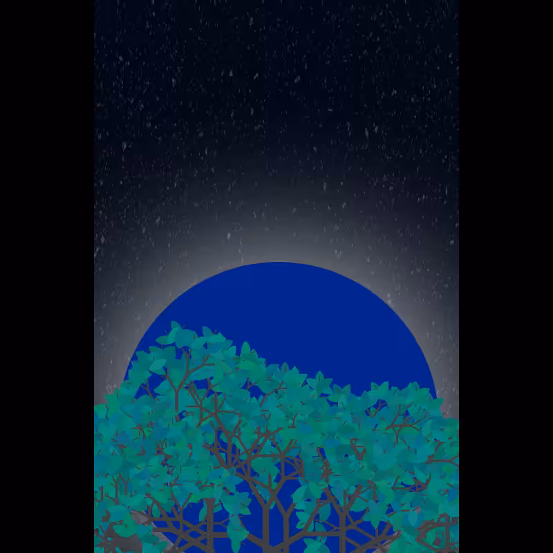 Moonlight Sonata #22
