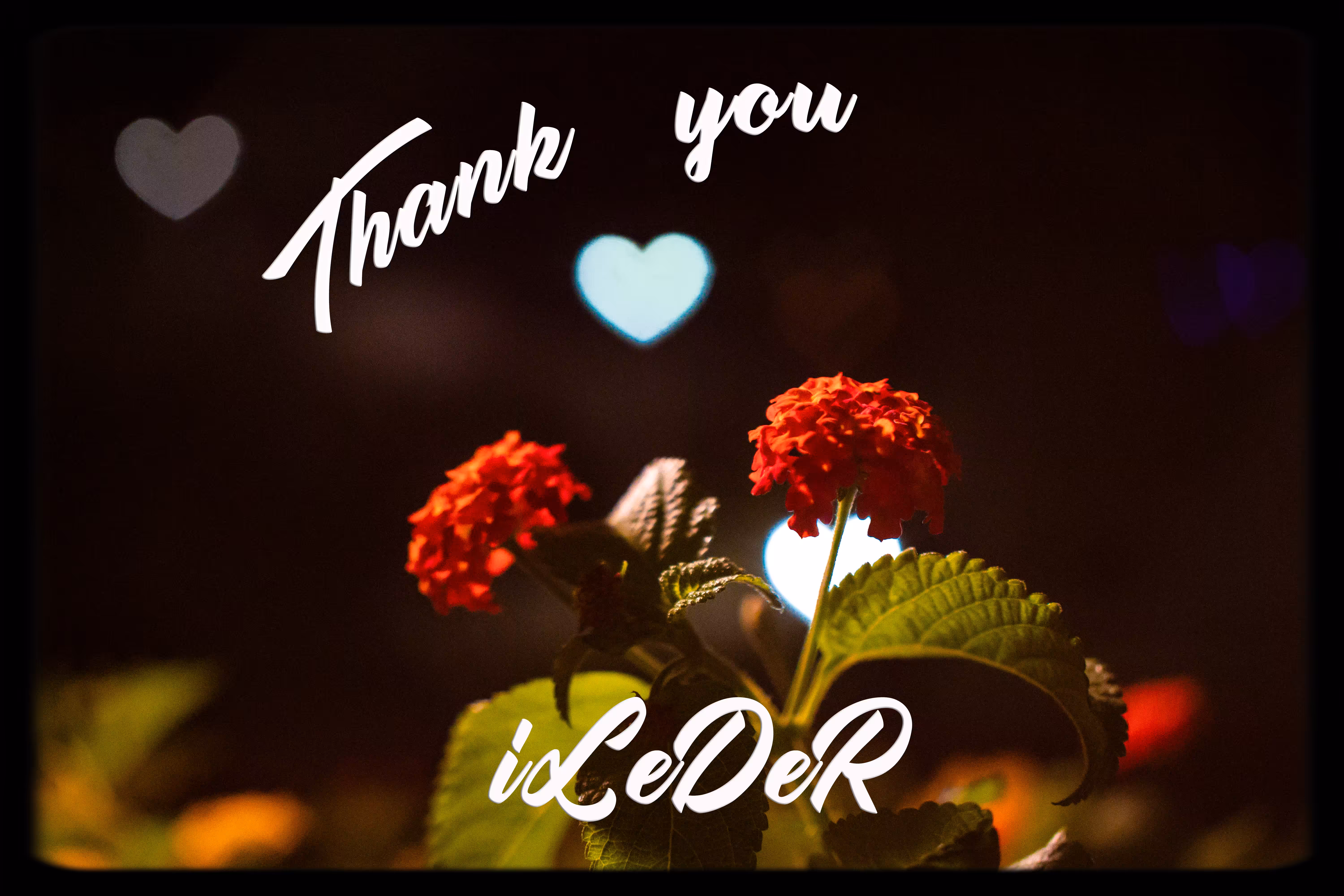 Thank You iLeDeR