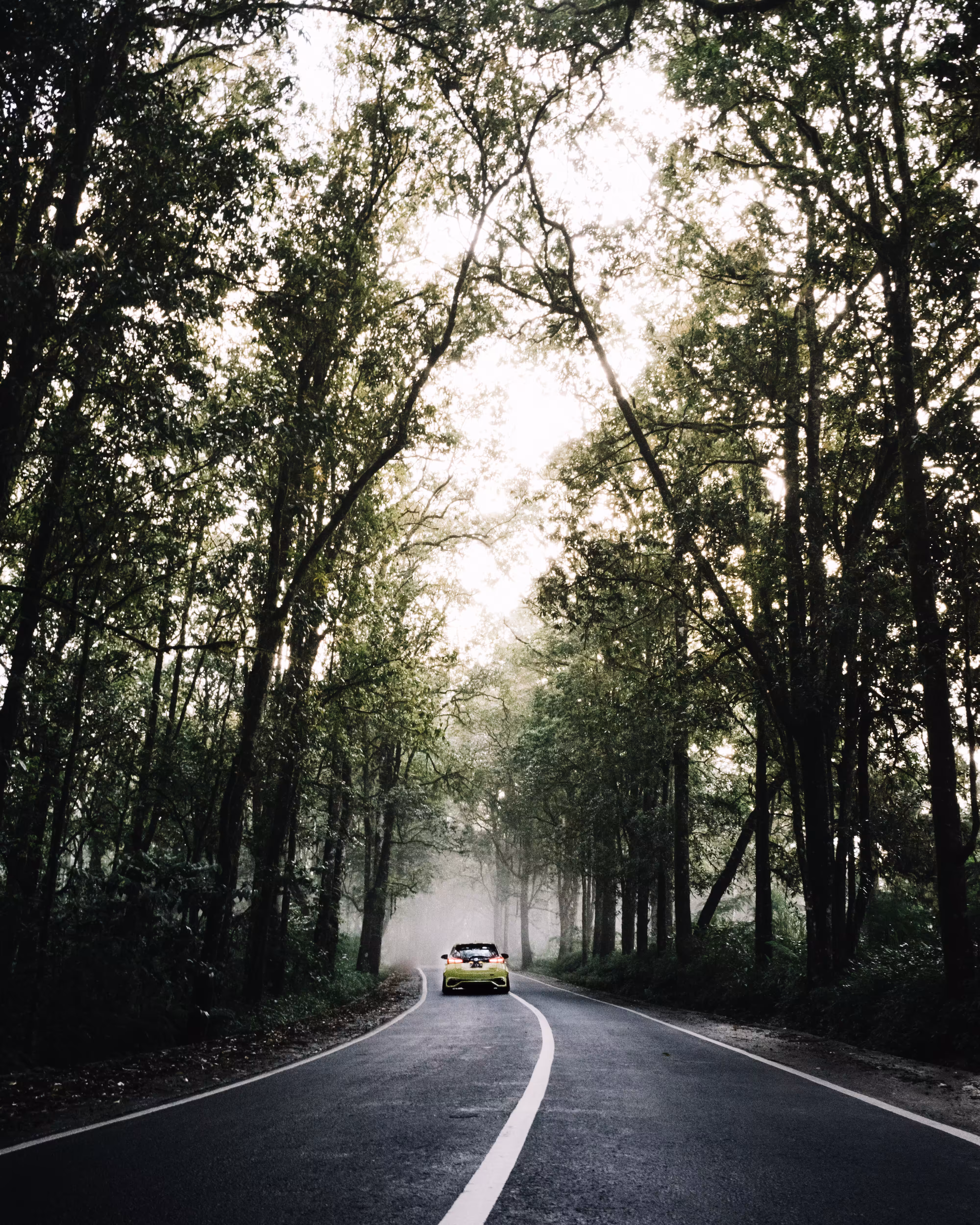 Misty Road of Kintamani - Jornee #004