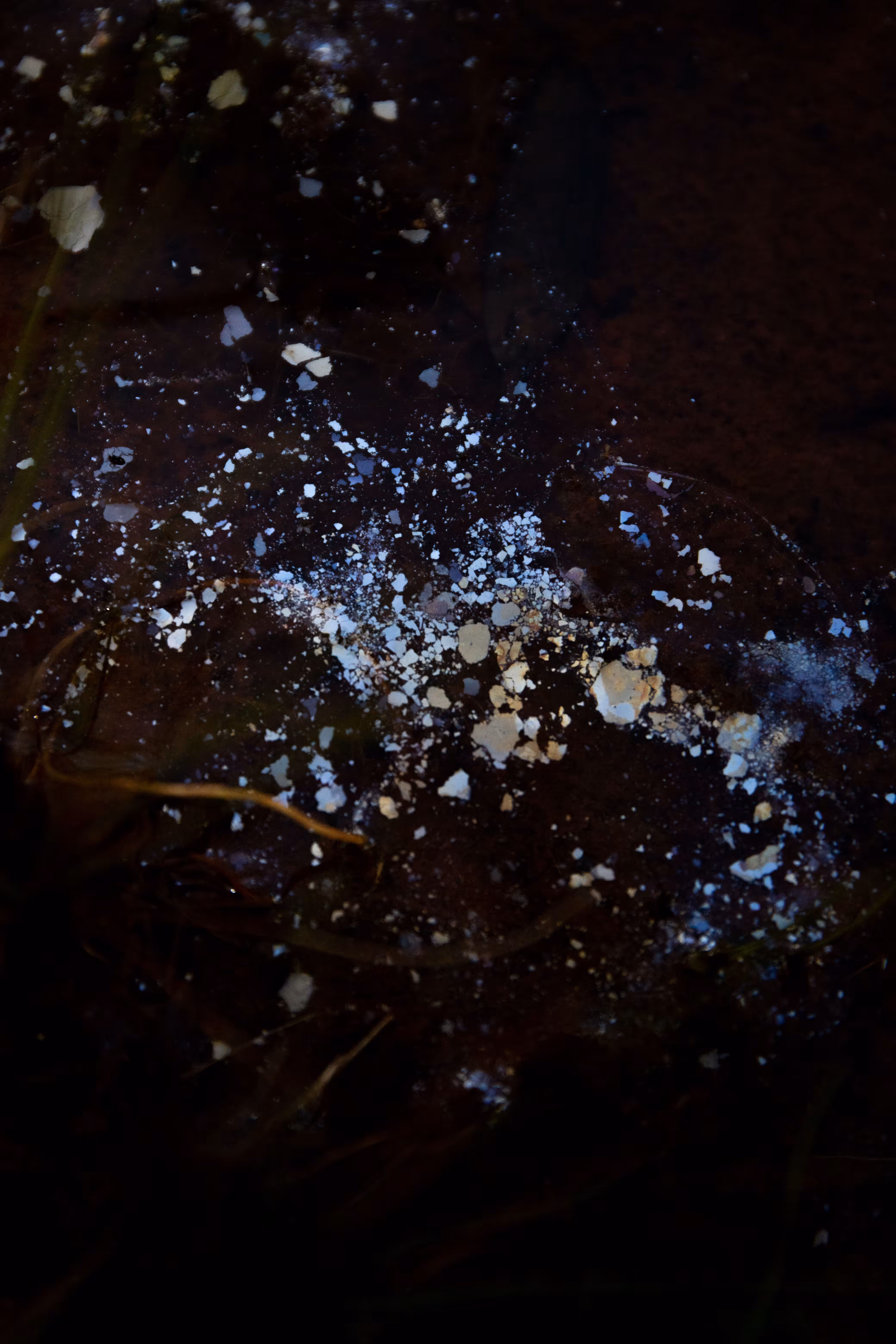 Exploded Stars
