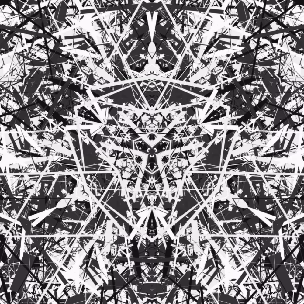 BW 3 mirror #22