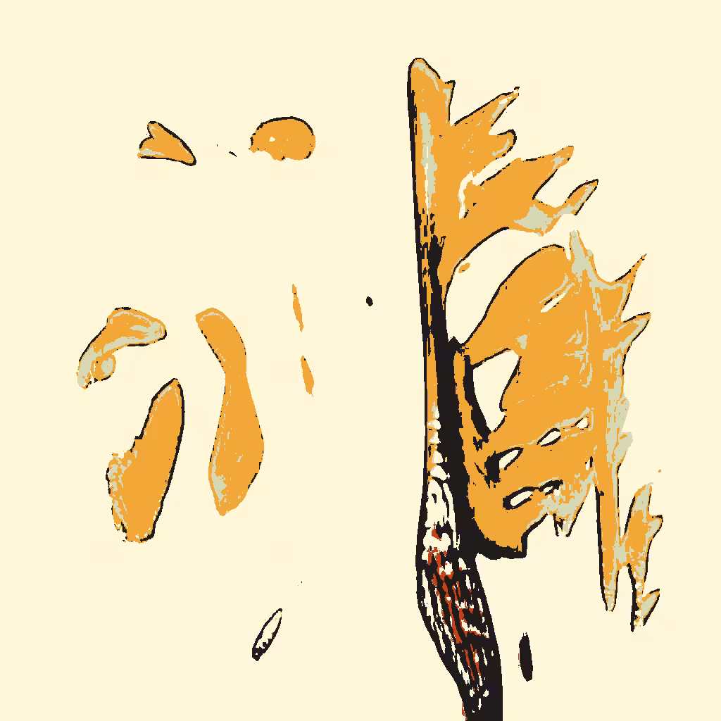 Confluence #79