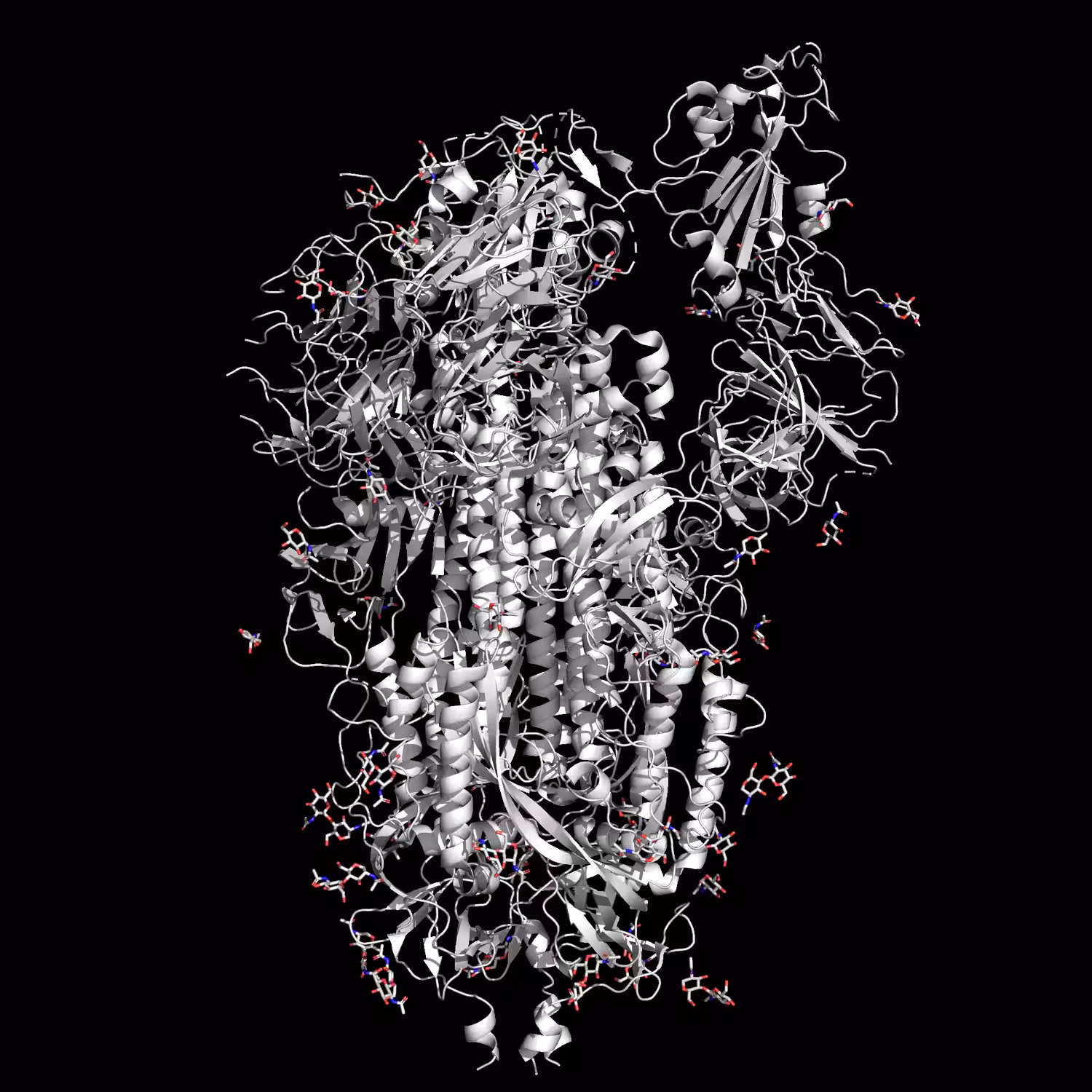2019-nCoV spike glycoprotein diamond